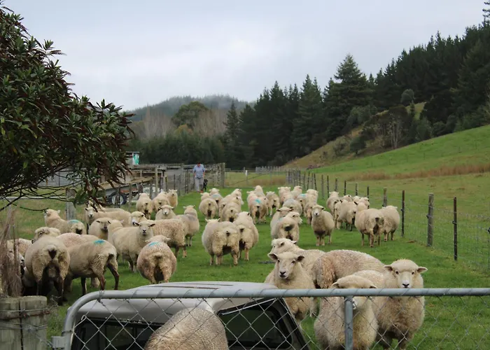 Farm Therapy